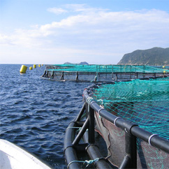 Aquaculture Water Treatment